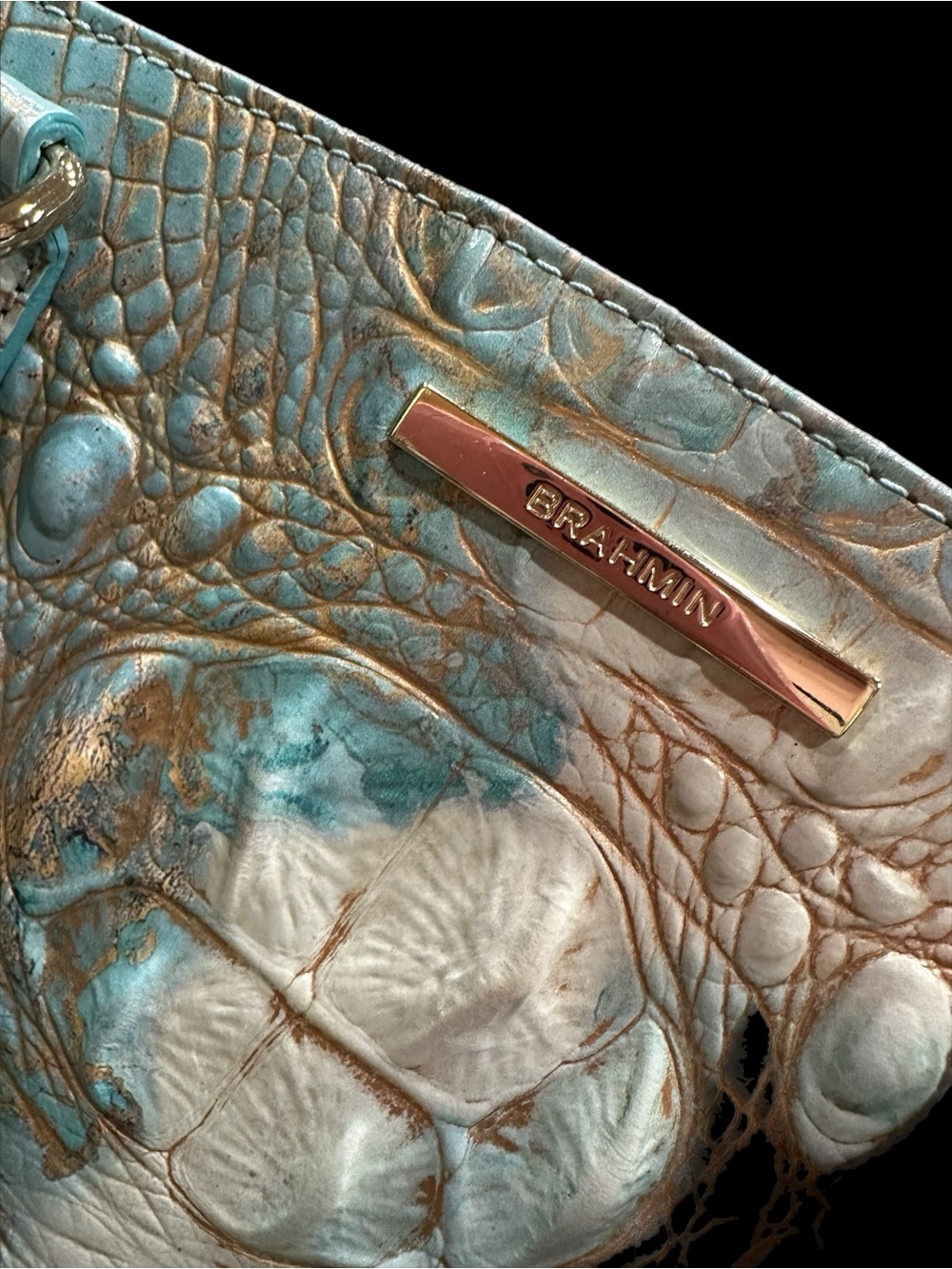 Brahmin - Picture 9 of 10